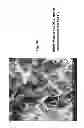 Fig. 09 - Amphiphilic linear peptidepeptoid and hydrogel comprising the same
