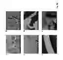 Fig. 16 - Amphiphilic linear peptidepeptoid and hydrogel comprising the same