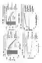 Fig. 23 - Amphiphilic linear peptidepeptoid and hydrogel comprising the same