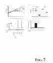 Fig. 08 - Suppression of bone loss by introducing FoxP3+ CD8 T-cells (Tc)