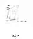 Fig. 09 - Suppression of bone loss by introducing FoxP3+ CD8 T-cells (Tc)