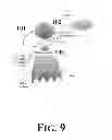 Fig. 10 - Suppression of bone loss by introducing FoxP3+ CD8 T-cells (Tc)