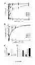 Fig. 05 - Modulating bacterial MAM polypeptides in pathogenic disease