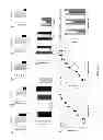 Fig. 07 - Modulating bacterial MAM polypeptides in pathogenic disease
