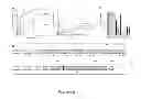 Fig. 22 - Modulating bacterial MAM polypeptides in pathogenic disease