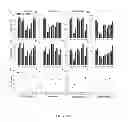 Fig. 24 - Modulating bacterial MAM polypeptides in pathogenic disease