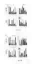 Fig. 25 - Modulating bacterial MAM polypeptides in pathogenic disease