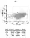 Fig. 02 - Novel Mensenchymal Stem Cells And Bone-Forming Cells