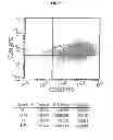Fig. 04 - Novel Mensenchymal Stem Cells And Bone-Forming Cells