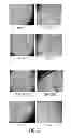 Fig. 08 - Novel Mensenchymal Stem Cells And Bone-Forming Cells