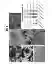 Fig. 02 - Production of dentin, cementum and enamel by cells