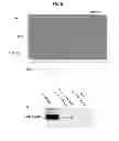 Fig. 09 - Production of dentin, cementum and enamel by cells