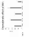 Fig. 22 - Production of dentin, cementum and enamel by cells
