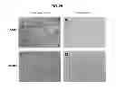 Fig. 35 - Production of dentin, cementum and enamel by cells