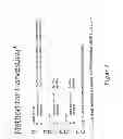 Fig. 03 - Methods and apparatuses for isolating and preparing stem cells