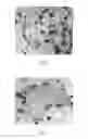 Fig. 04 - Use of dextran sulfate