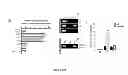 Fig. 09 - METHOD FOR PREPARING INDUCED PLURIPOTENT STEM CELLS AND ITS APPLICATIONS