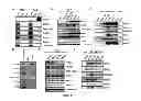 Fig. 10 - METHOD FOR PREPARING INDUCED PLURIPOTENT STEM CELLS AND ITS APPLICATIONS