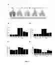 Fig. 12 - METHOD FOR PREPARING INDUCED PLURIPOTENT STEM CELLS AND ITS APPLICATIONS