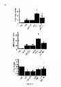 Fig. 17 - METHOD FOR PREPARING INDUCED PLURIPOTENT STEM CELLS AND ITS APPLICATIONS