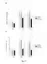 Fig. 19 - METHOD FOR PREPARING INDUCED PLURIPOTENT STEM CELLS AND ITS APPLICATIONS