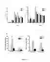 Fig. 26 - METHOD FOR PREPARING INDUCED PLURIPOTENT STEM CELLS AND ITS APPLICATIONS