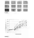 Fig. 02 - Synergistic antimicrobial effect