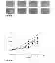 Fig. 03 - Synergistic antimicrobial effect