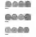 Fig. 04 - Synergistic antimicrobial effect