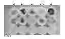 Fig. 05 - Synergistic antimicrobial effect