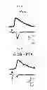 Fig. 06 - Method for screening a glutamate release inhibitor in an astrocyte