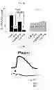 Fig. 07 - Method for screening a glutamate release inhibitor in an astrocyte