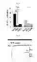 Fig. 08 - Method for screening a glutamate release inhibitor in an astrocyte