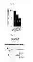 Fig. 09 - Method for screening a glutamate release inhibitor in an astrocyte