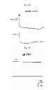 Fig. 32 - Method for screening a glutamate release inhibitor in an astrocyte