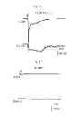 Fig. 37 - Method for screening a glutamate release inhibitor in an astrocyte