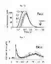 Fig. 47 - Method for screening a glutamate release inhibitor in an astrocyte