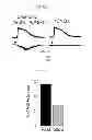 Fig. 53 - Method for screening a glutamate release inhibitor in an astrocyte