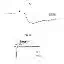 Fig. 58 - Method for screening a glutamate release inhibitor in an astrocyte
