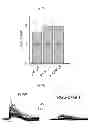 Fig. 63 - Method for screening a glutamate release inhibitor in an astrocyte