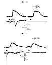 Fig. 79 - Method for screening a glutamate release inhibitor in an astrocyte