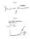 Fig. 80 - Method for screening a glutamate release inhibitor in an astrocyte
