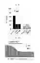 Fig. 82 - Method for screening a glutamate release inhibitor in an astrocyte