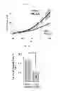Fig. 83 - Method for screening a glutamate release inhibitor in an astrocyte