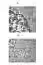 Fig. 89 - Method for screening a glutamate release inhibitor in an astrocyte