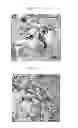 Fig. 90 - Method for screening a glutamate release inhibitor in an astrocyte