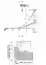 Fig. 92 - Method for screening a glutamate release inhibitor in an astrocyte