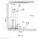 Fig. 07 - Recombinant or transgenic factor VII composition, each factor VII molecule having two N-glycosylation sites with defined glycan units
