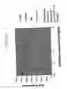 Fig. 04 - METHOD FOR PREVENTING AND TREATING CANCER METASTASIS AND BONE LOSS ASSOCIATED WITH CANCER METASTASIS