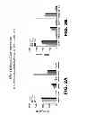 Fig. 06 - Modulators and methods of use